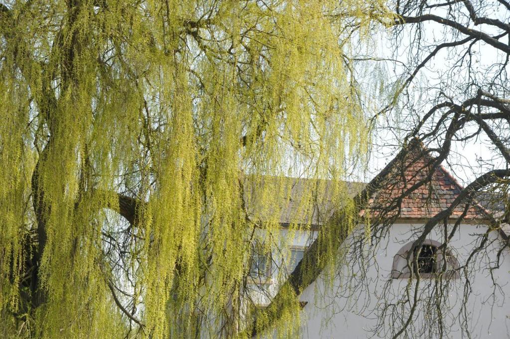 Zeiskamer Muehle Kültér fotó